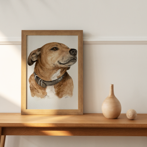 Pet Portrait